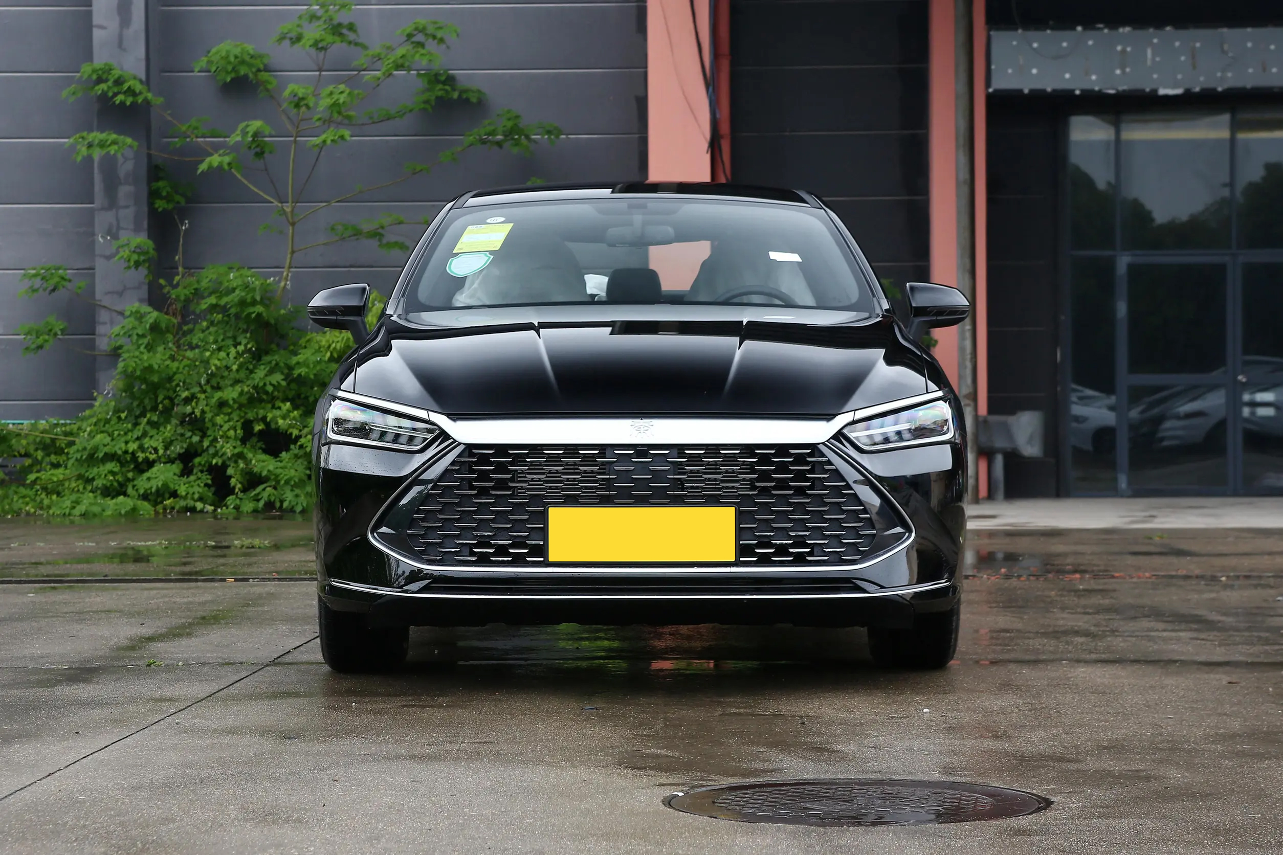 BYD QinPlus DM-i - Sedan, PHEV — изображение 7