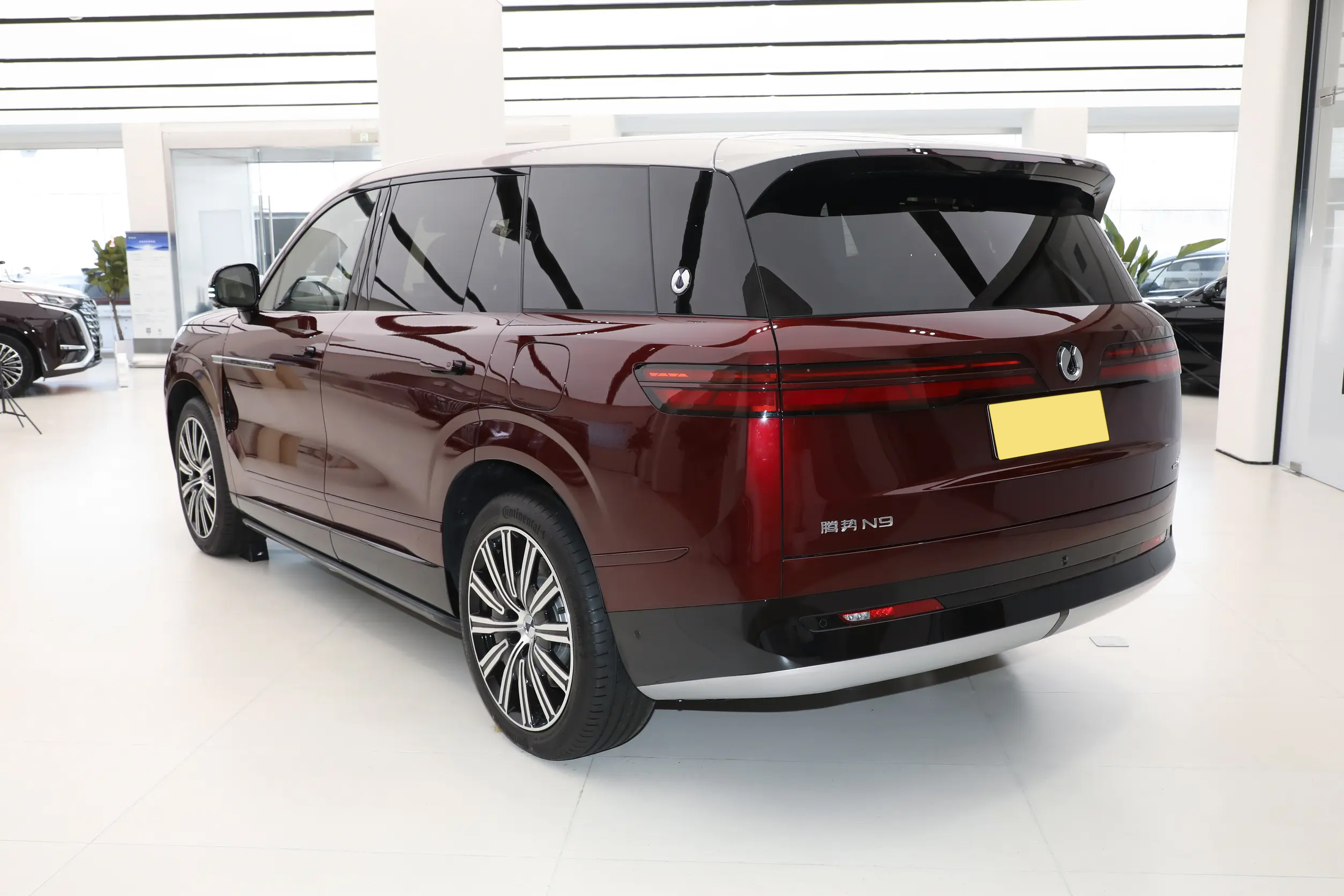 BYD Denza N9 - SUV, PHEV — изображение 9