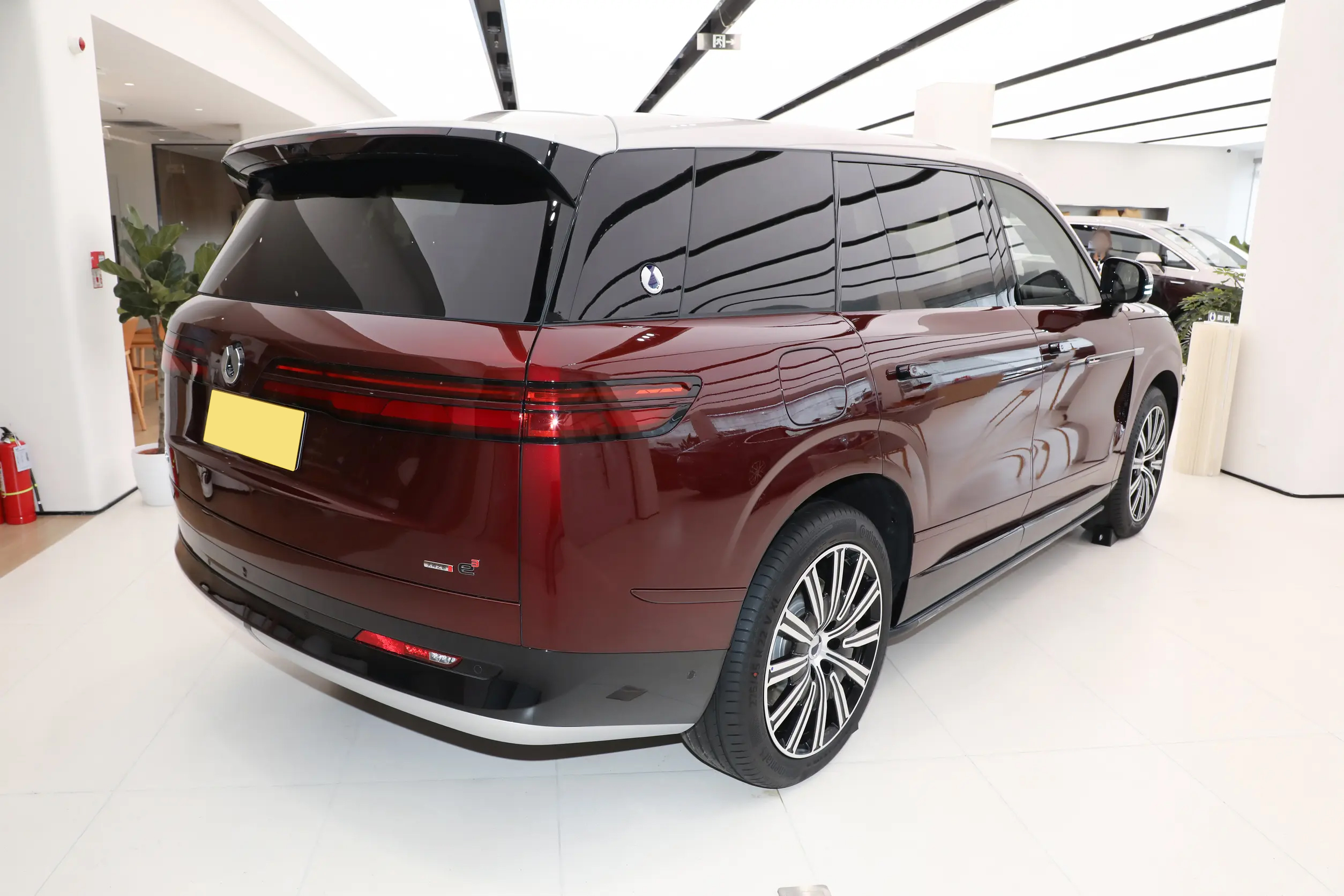 BYD Denza N9 - SUV, PHEV — изображение 6