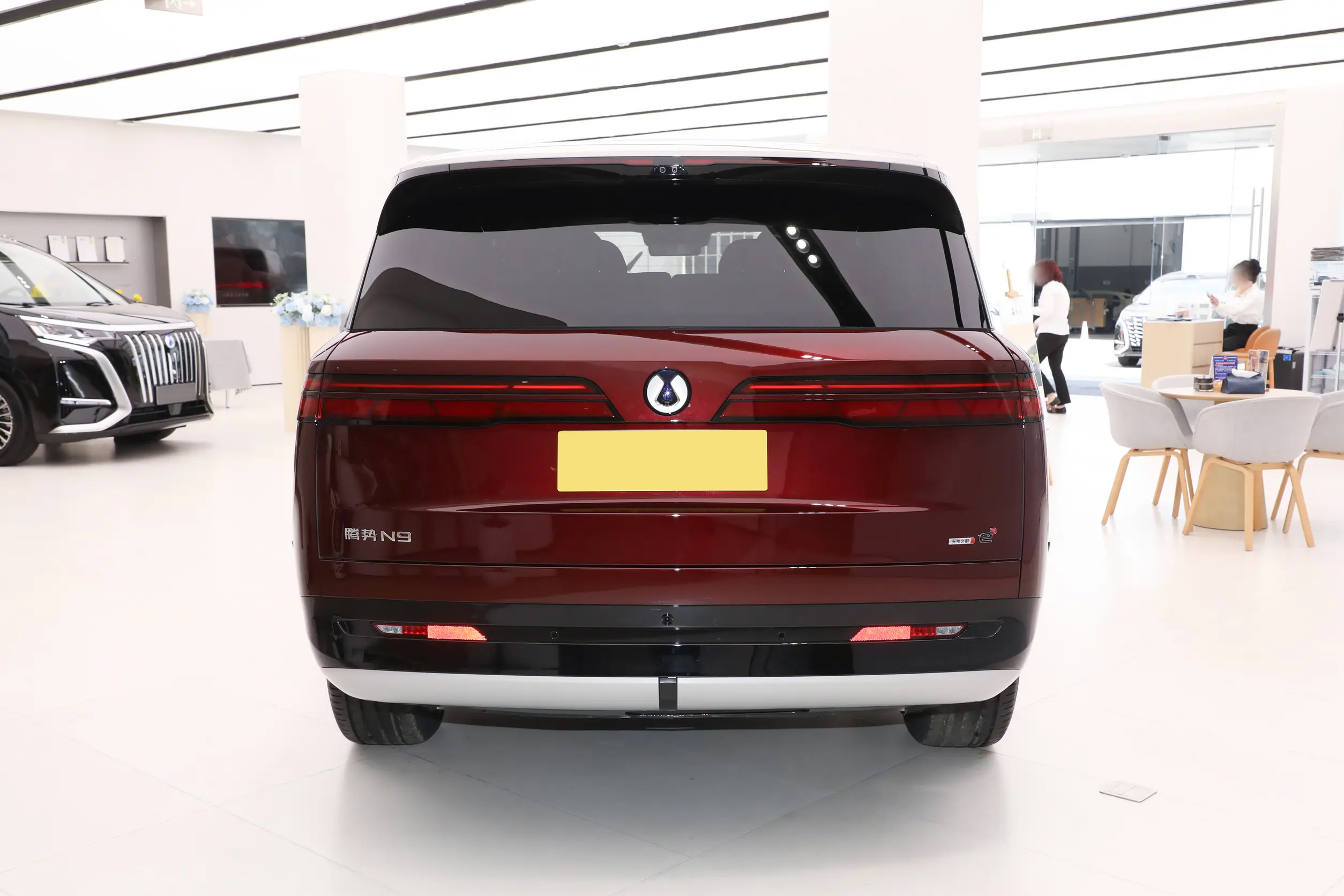 BYD Denza N9 - SUV, PHEV — изображение 10