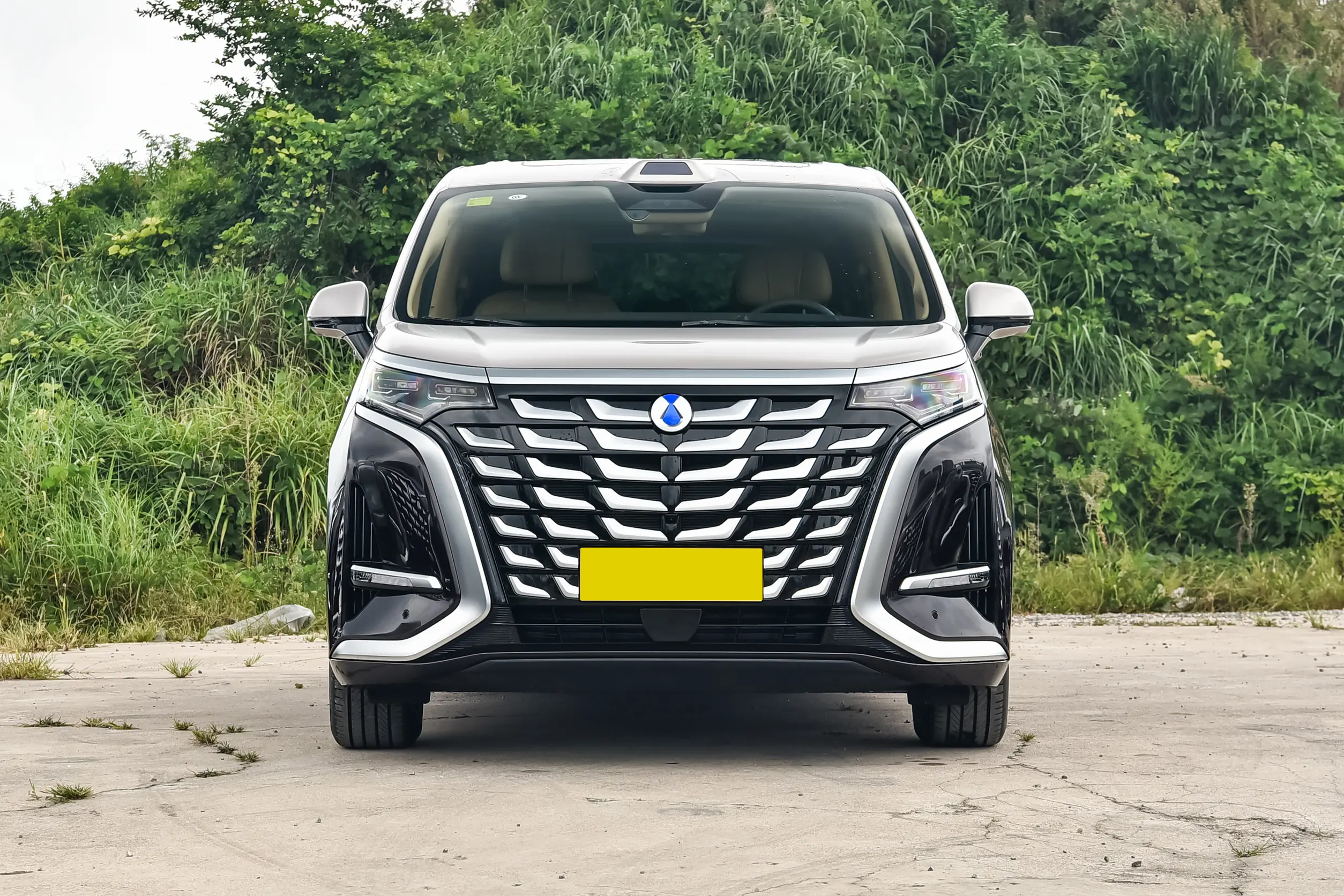 BYD Denza D9 DMI - MPV, EV, PHEV — изображение 9