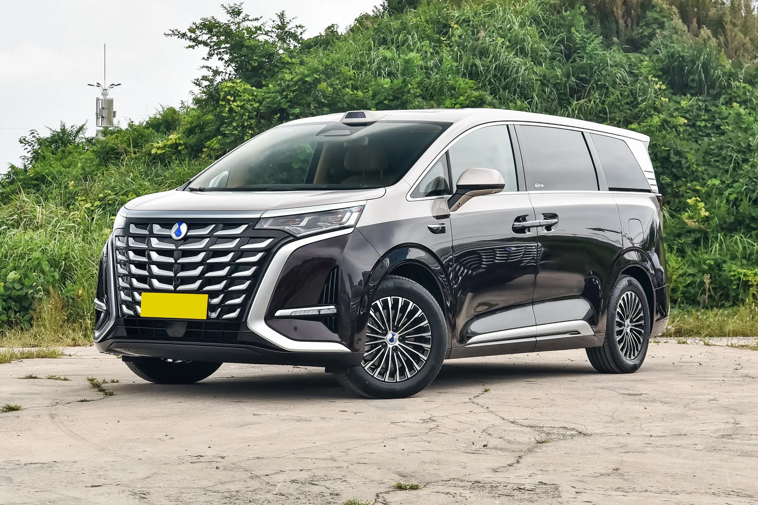 BYD Denza D9 DMI - MPV, EV, PHEV — изображение 8